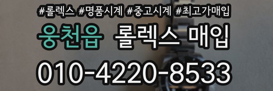웅천읍 롤렉스 매입