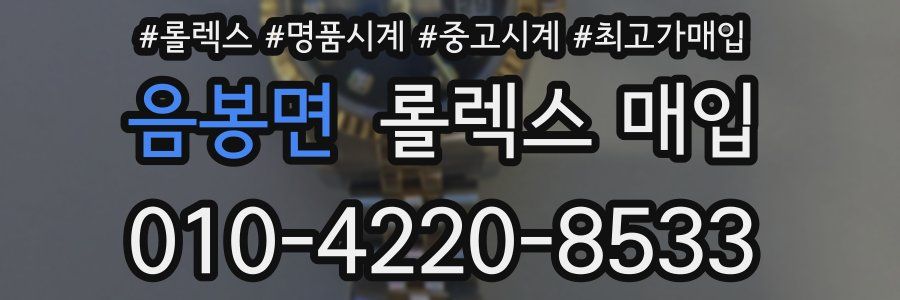 음봉면 롤렉스 매입