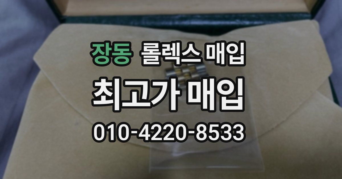 장동 롤렉스 매입