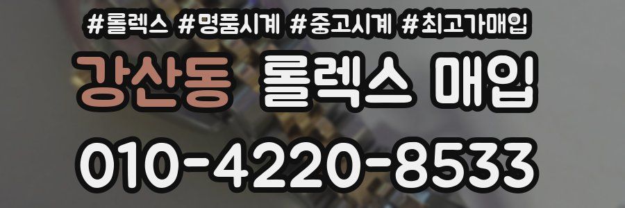 강산동 롤렉스 매입