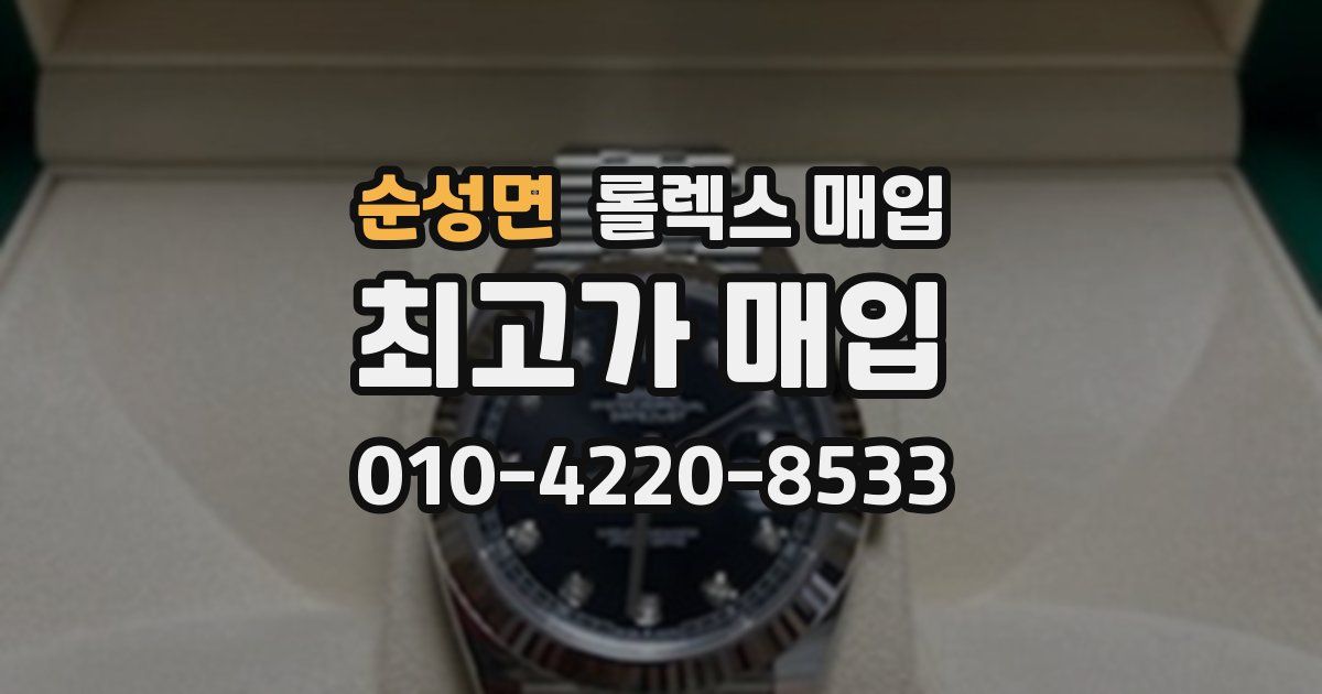 순성면 롤렉스 매입