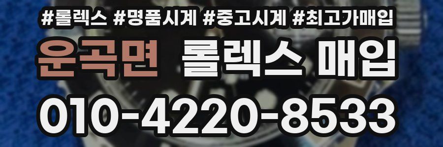 운곡면 롤렉스 매입