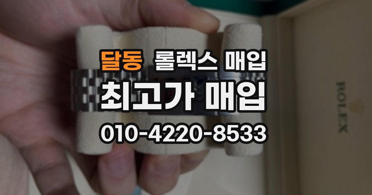달동 롤렉스 매입