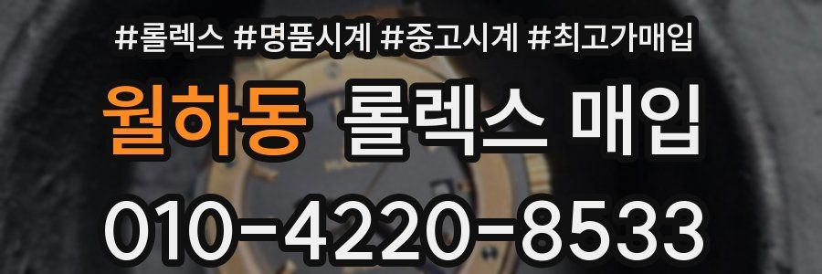 월하동 롤렉스 매입