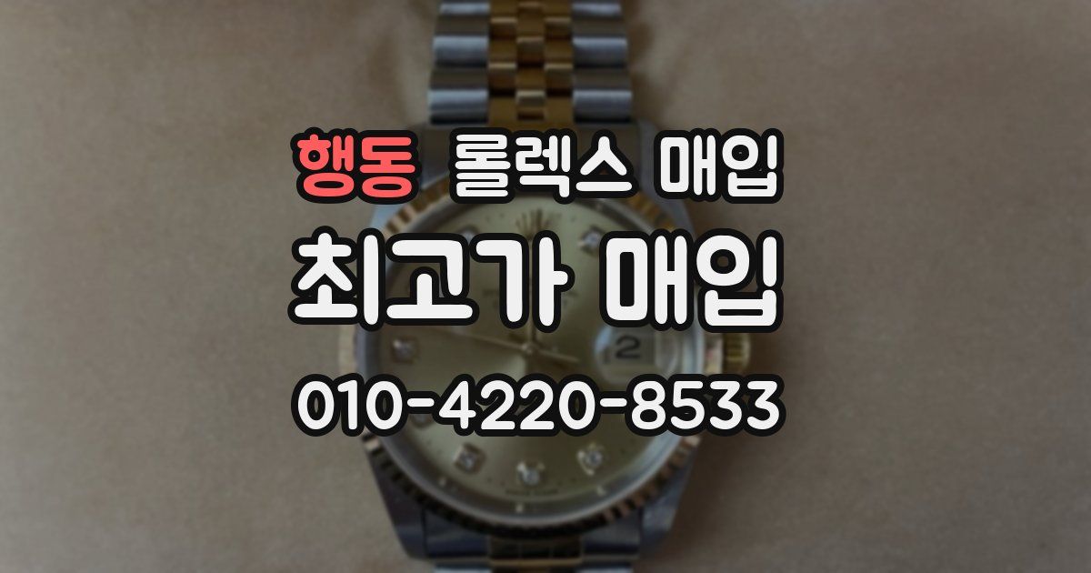 행동 롤렉스 매입