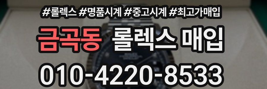 금곡동 롤렉스 매입