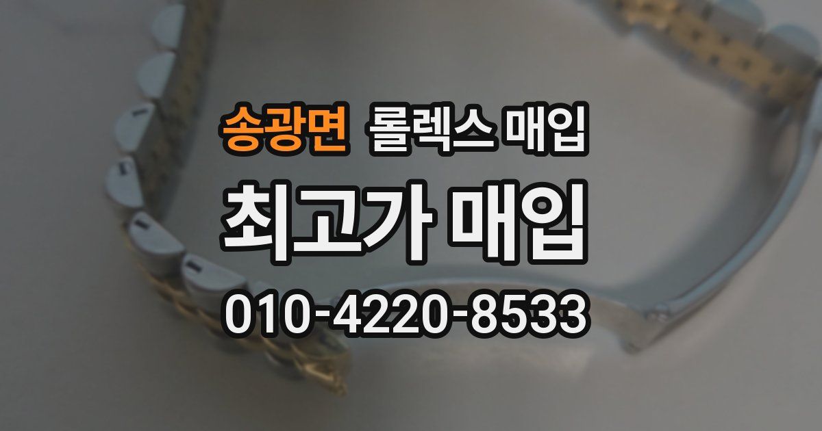 송광면 롤렉스 매입