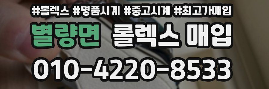 별량면 롤렉스 매입