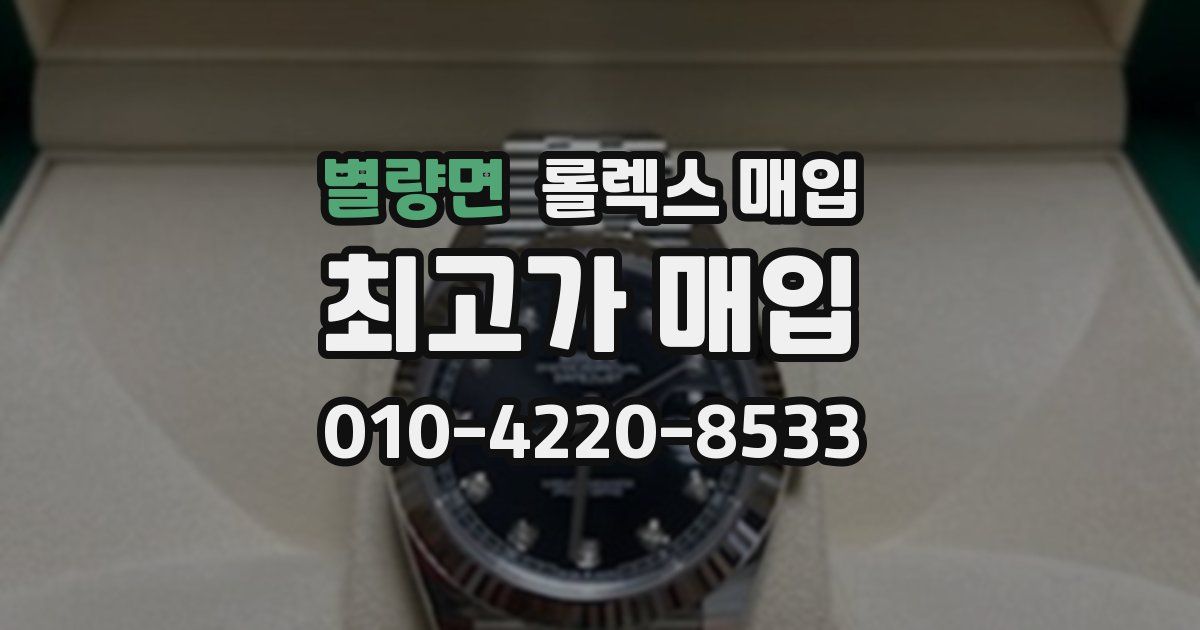 별량면 롤렉스 매입