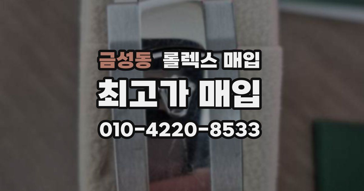 금성동 롤렉스 매입