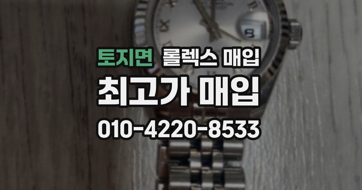토지면 롤렉스 매입