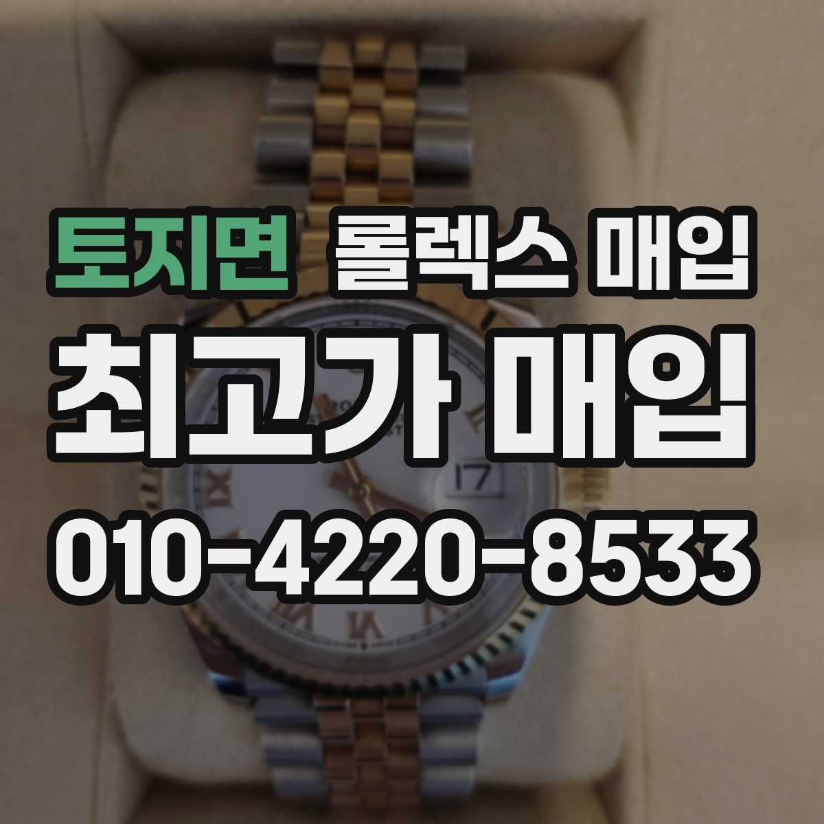 토지면 롤렉스 매입