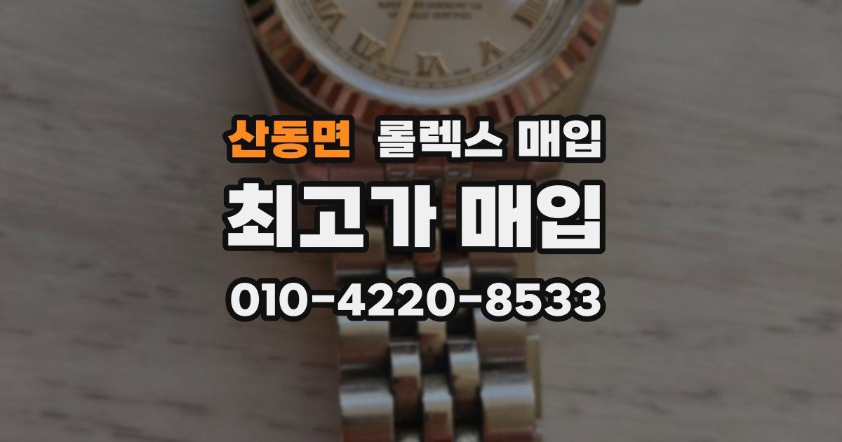 산동면 롤렉스 매입