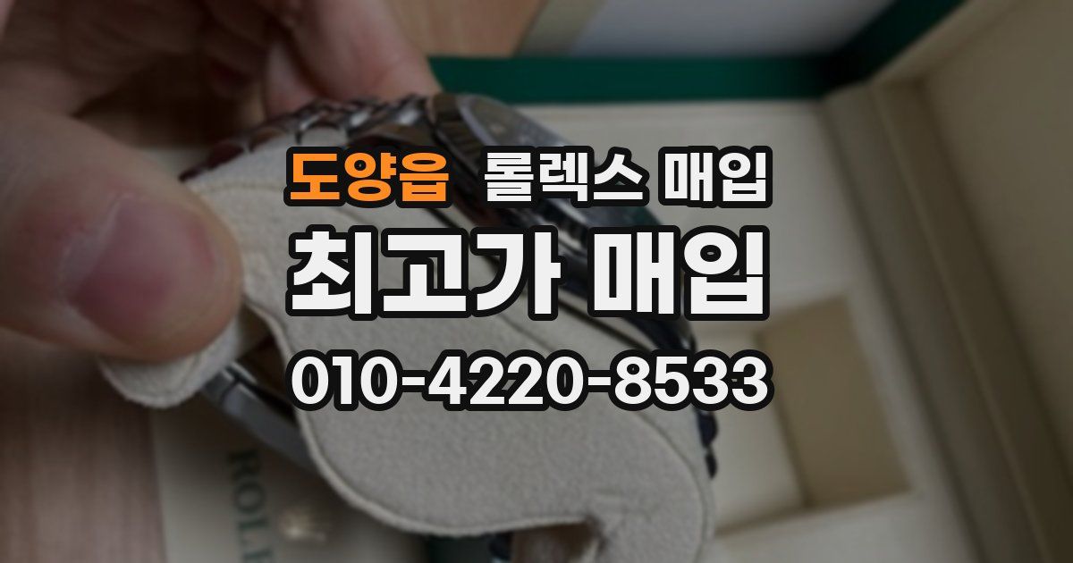 도양읍 롤렉스 매입