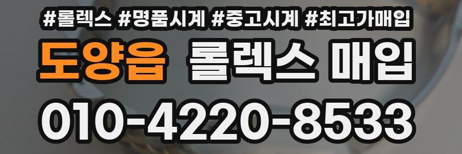 도양읍 롤렉스 매입