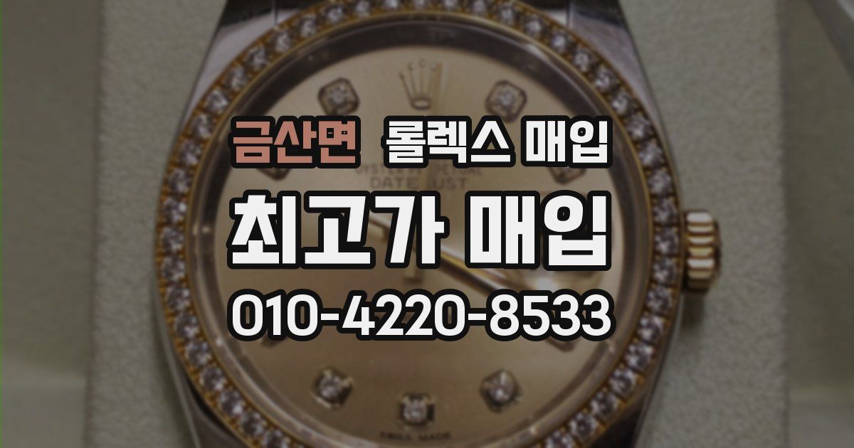 금산면 롤렉스 매입
