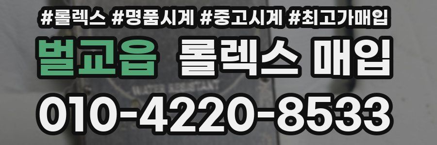 벌교읍 롤렉스 매입