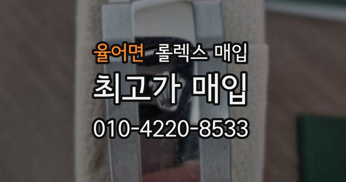 율어면 롤렉스 매입