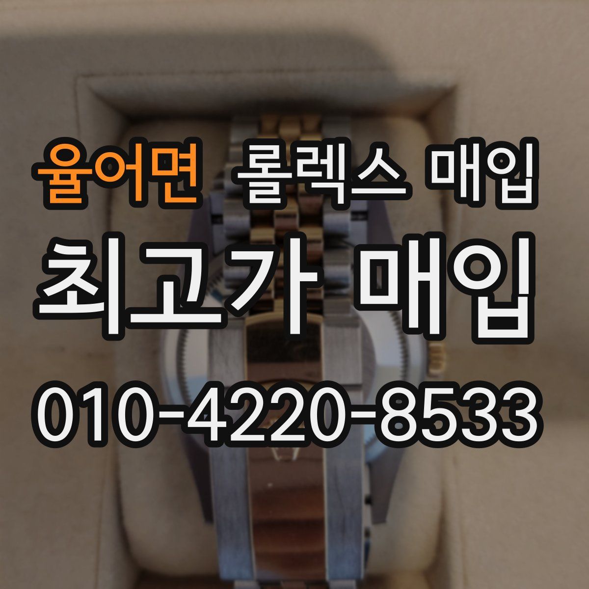 율어면 롤렉스 매입
