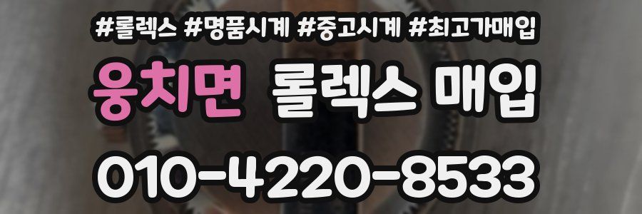 웅치면 롤렉스 매입