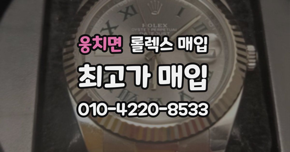 웅치면 롤렉스 매입
