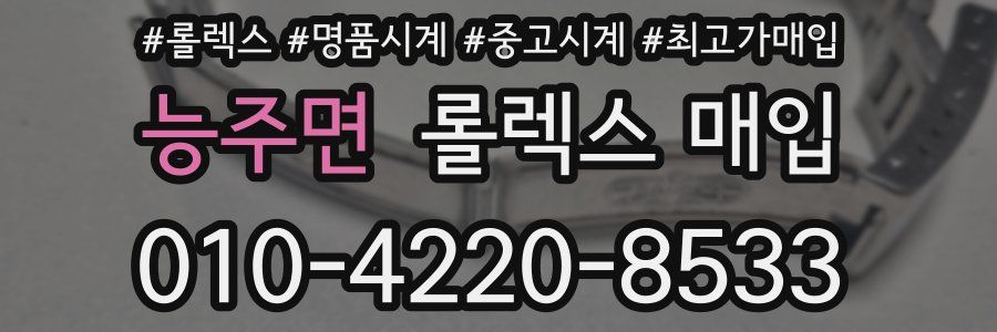 능주면 롤렉스 매입