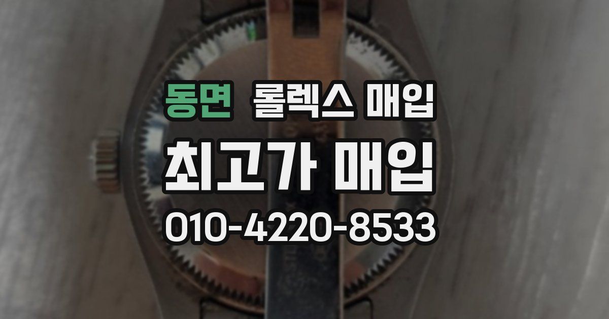 동면 롤렉스 매입