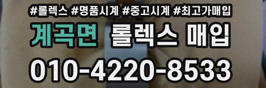 계곡면 롤렉스 매입