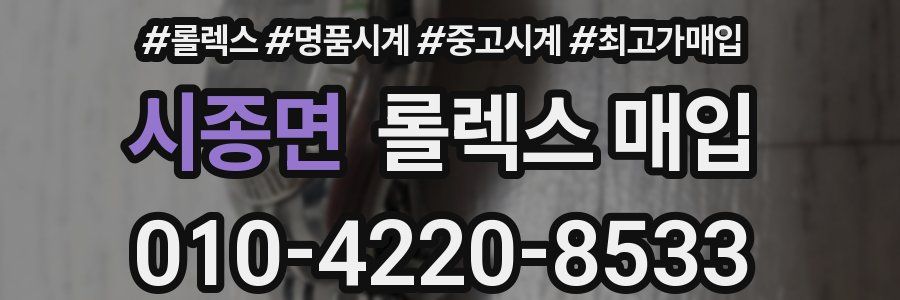 시종면 롤렉스 매입