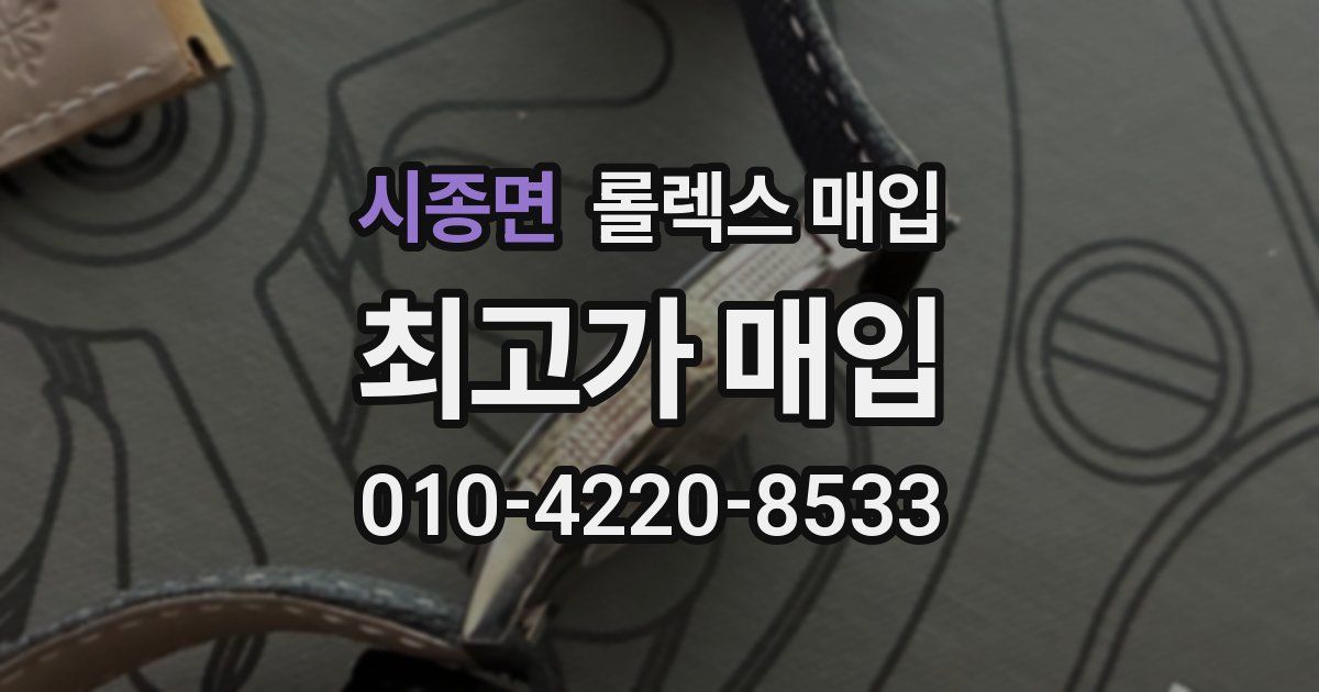 시종면 롤렉스 매입