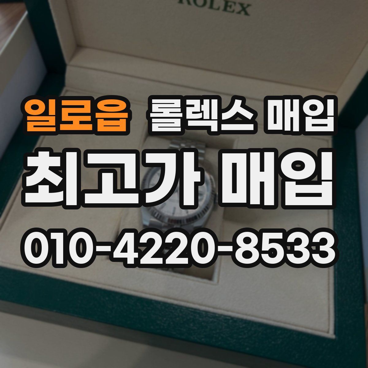 일로읍 롤렉스 매입