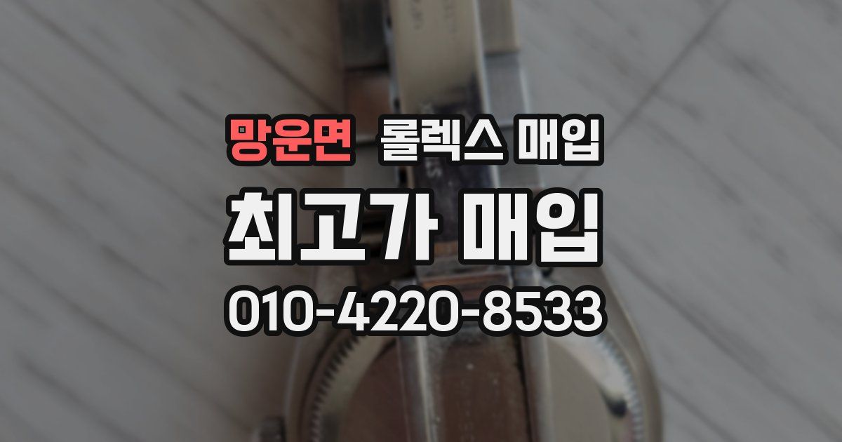 망운면 롤렉스 매입