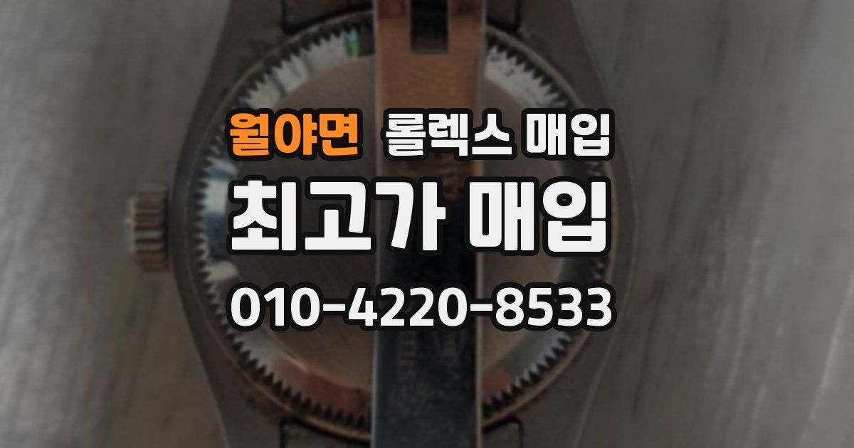 월야면 롤렉스 매입