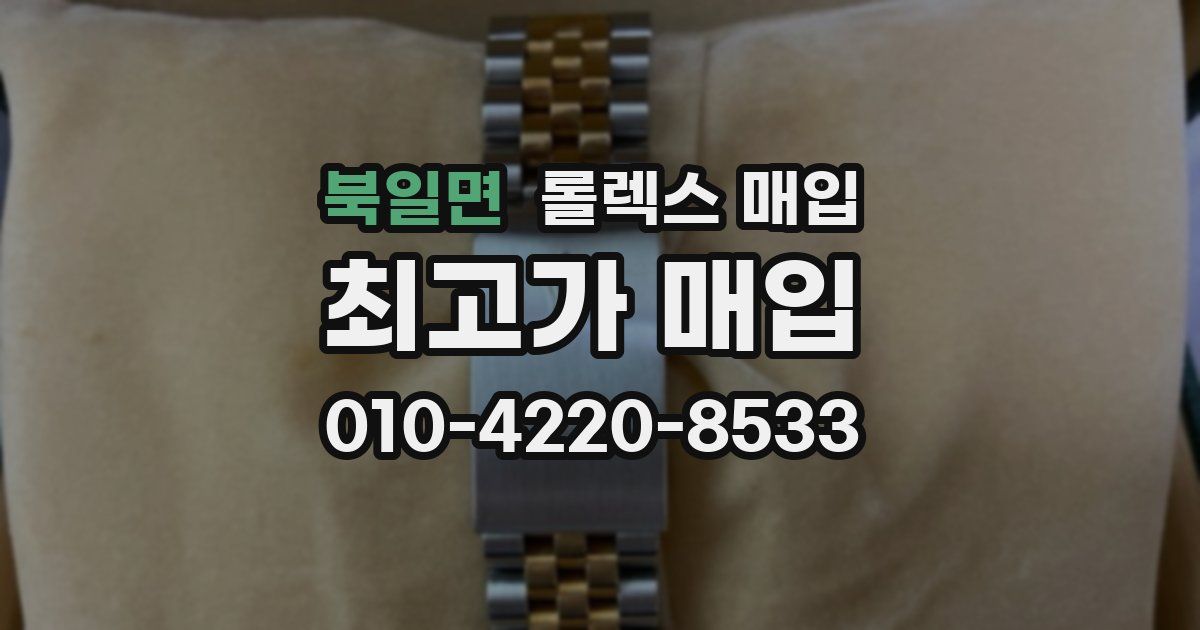 북일면 롤렉스 매입
