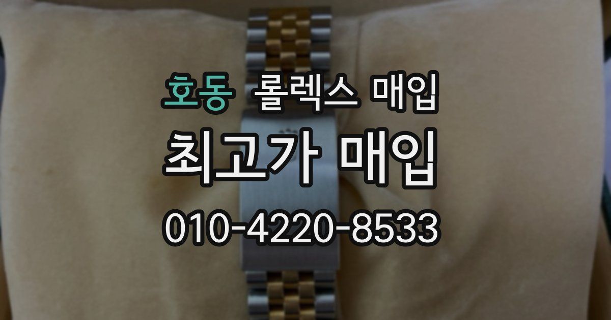 호동 롤렉스 매입
