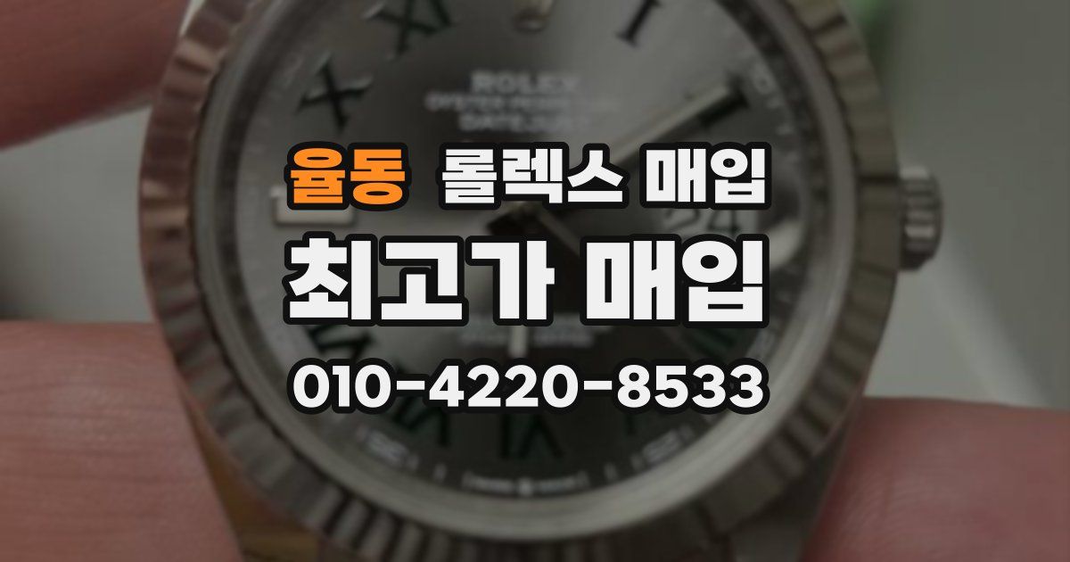 율동 롤렉스 매입
