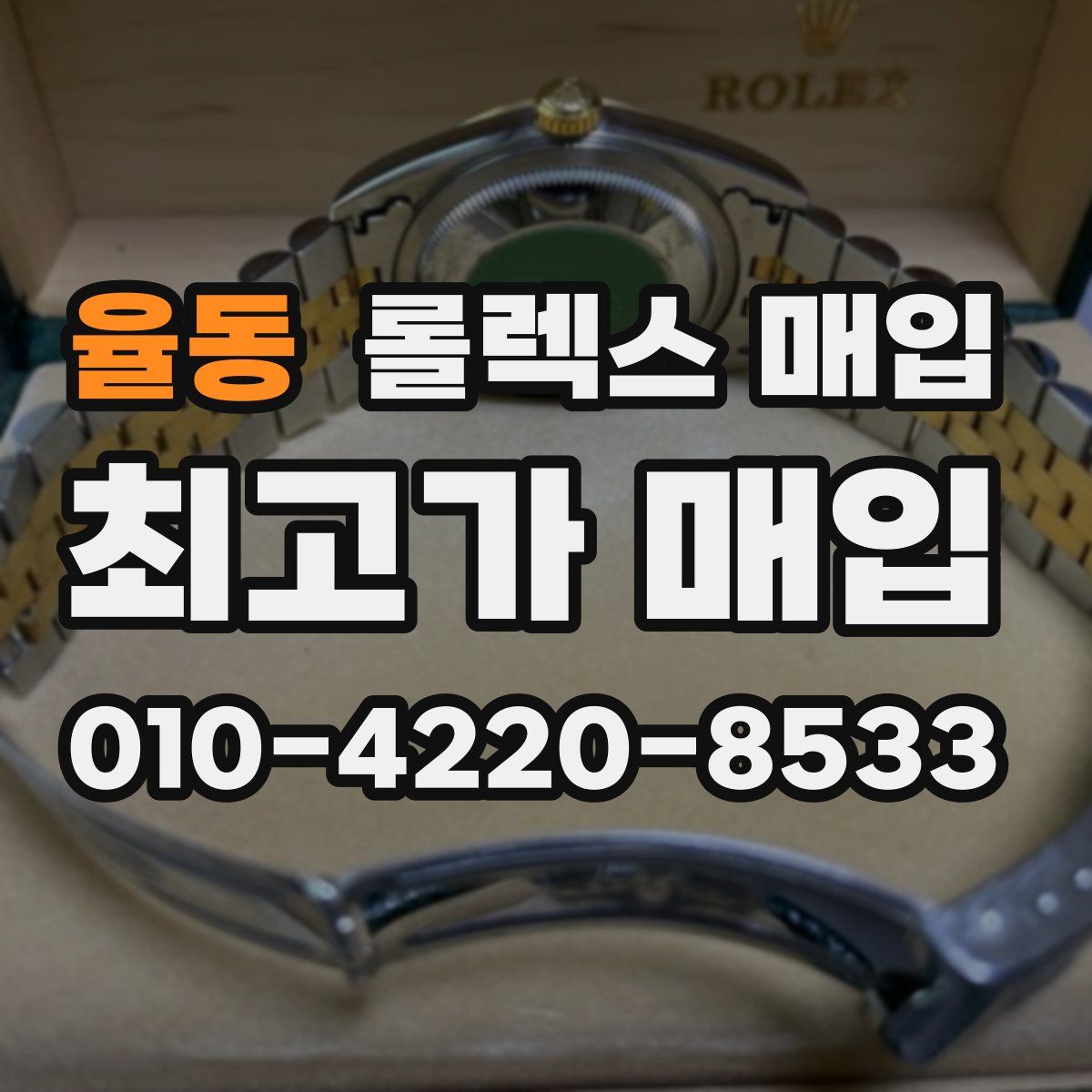 율동 롤렉스 매입