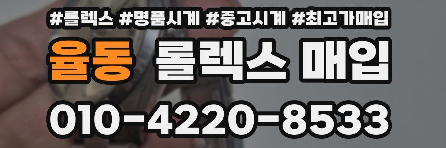 율동 롤렉스 매입