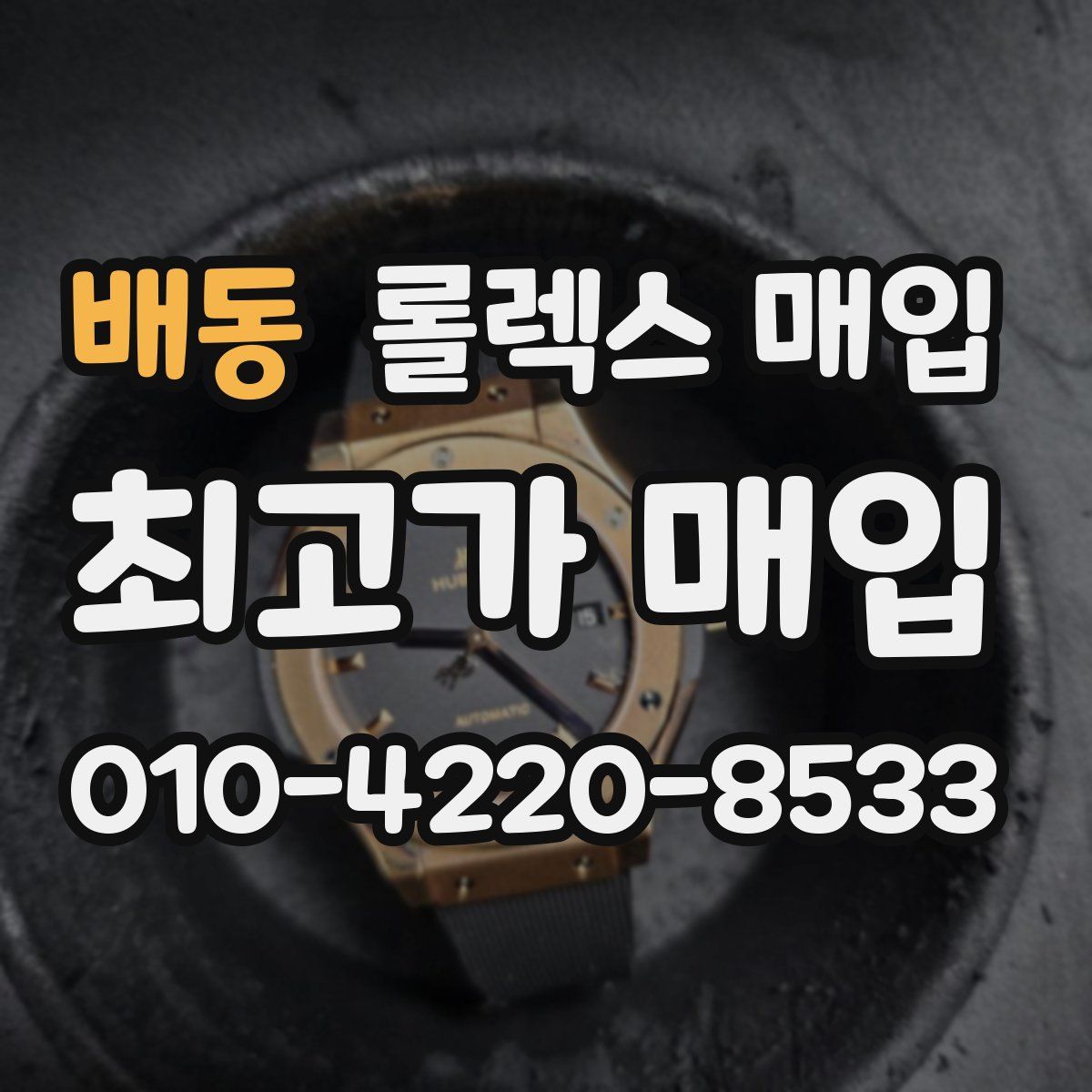 배동 롤렉스 매입