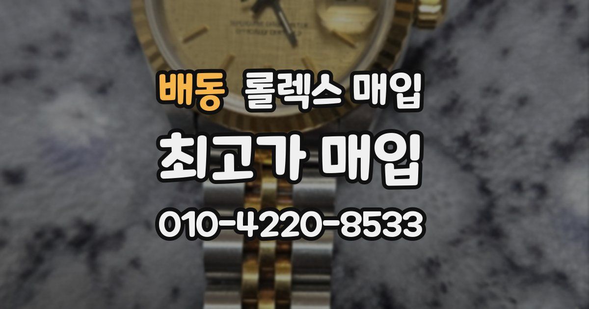 배동 롤렉스 매입