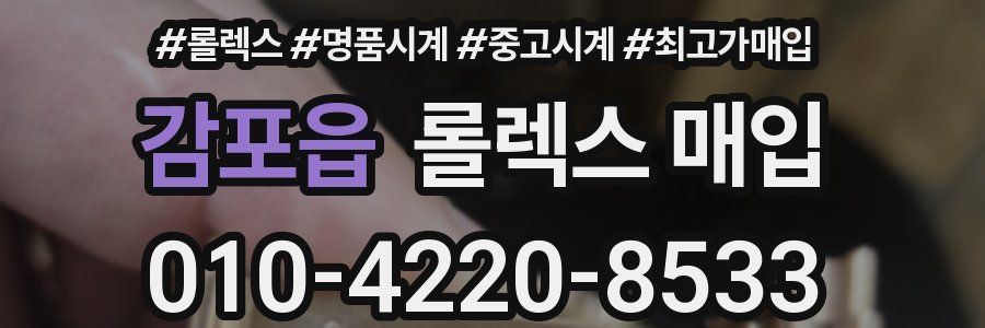 감포읍 롤렉스 매입