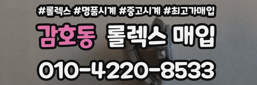 감호동 롤렉스 매입