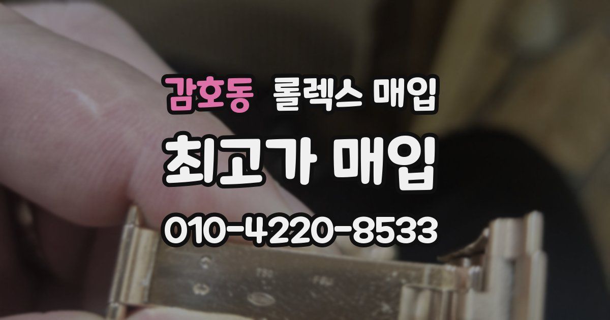 감호동 롤렉스 매입