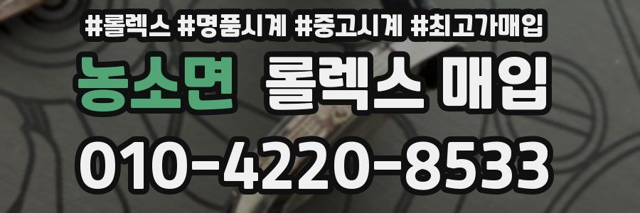 농소면 롤렉스 매입