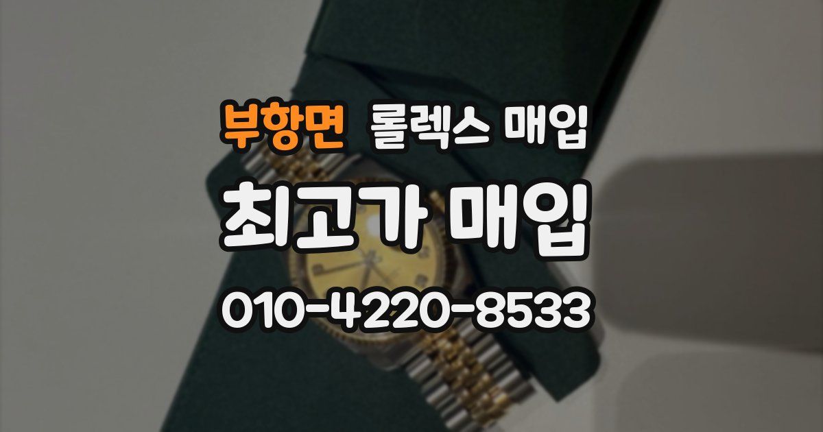 부항면 롤렉스 매입