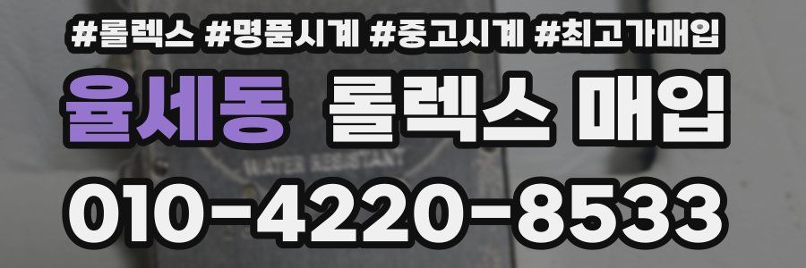 율세동 롤렉스 매입