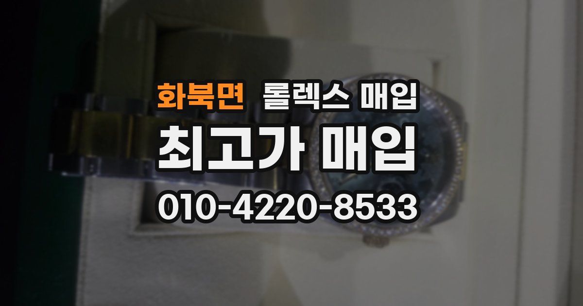 화북면 롤렉스 매입