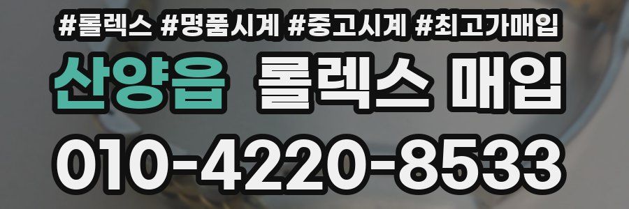 산양읍 롤렉스 매입