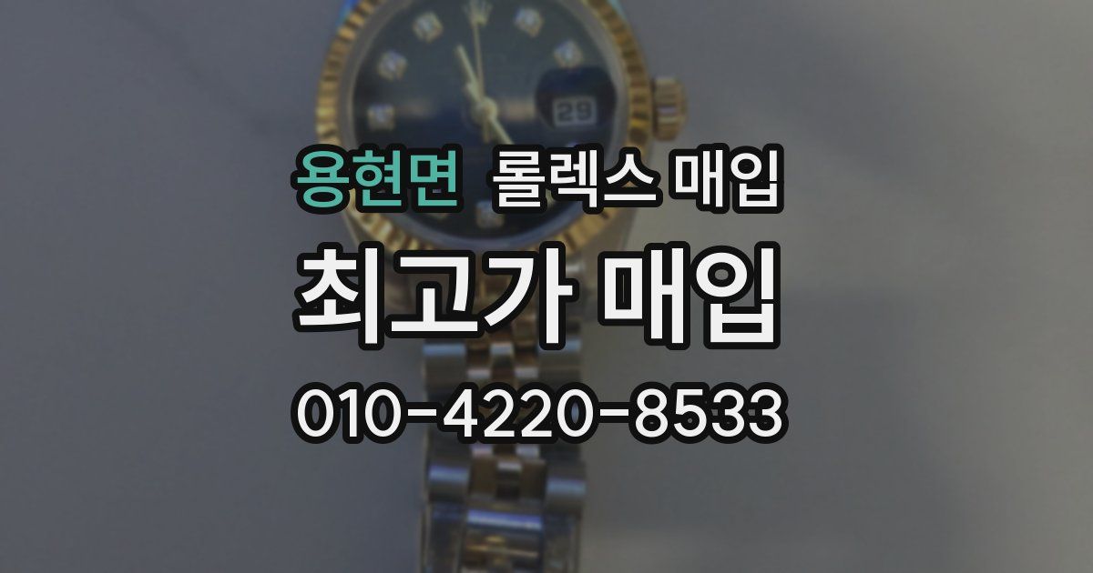 용현면 롤렉스 매입