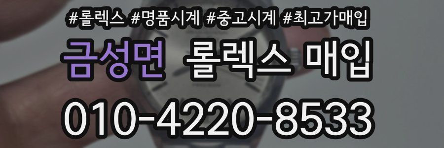 금성면 롤렉스 매입